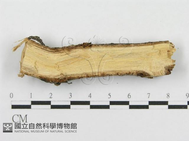 登錄號:F0015377藏品圖，第4張
