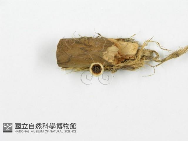 登錄號:F0001165藏品圖，第4張