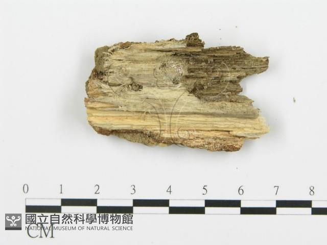 登錄號:F0020025藏品圖，第4張