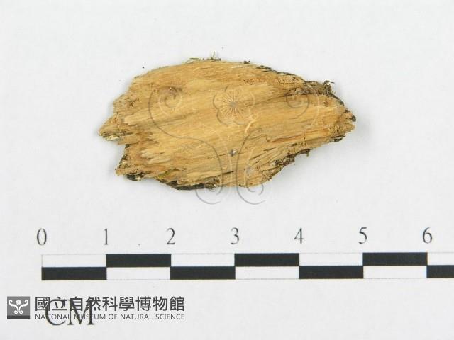 登錄號:F0017305藏品圖，第4張