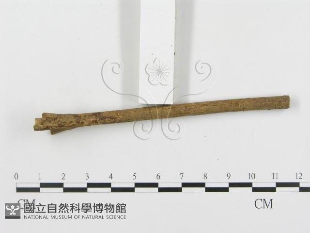 登錄號:F0004455藏品圖，第4張