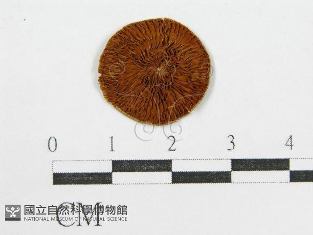 登錄號:F0004755藏品圖，第4張