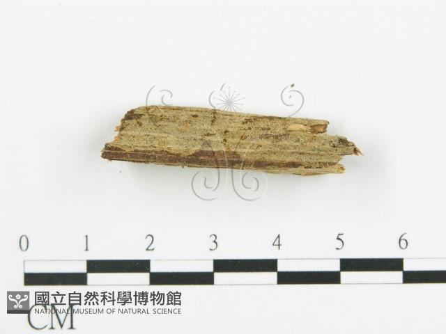 登錄號:F0015755藏品圖，第4張