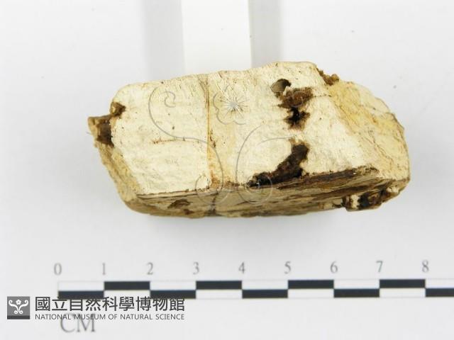 登錄號:F0019755藏品圖，第4張