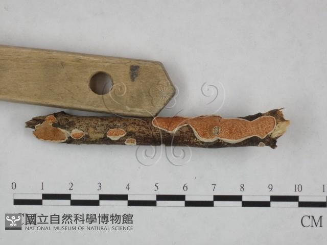 登錄號:F0023755藏品圖，第4張