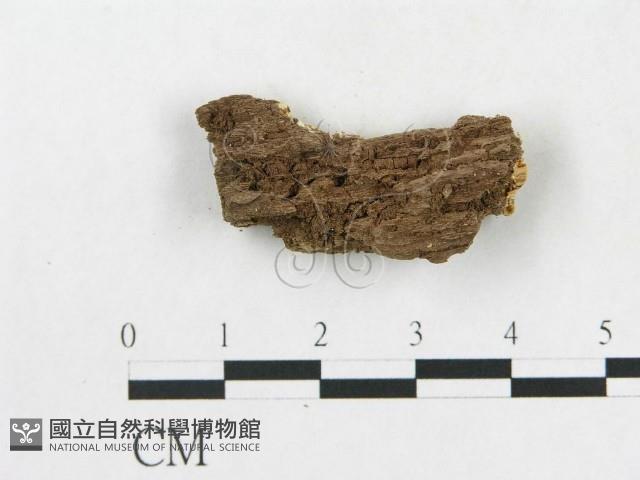 登錄號:F0017245藏品圖，第4張
