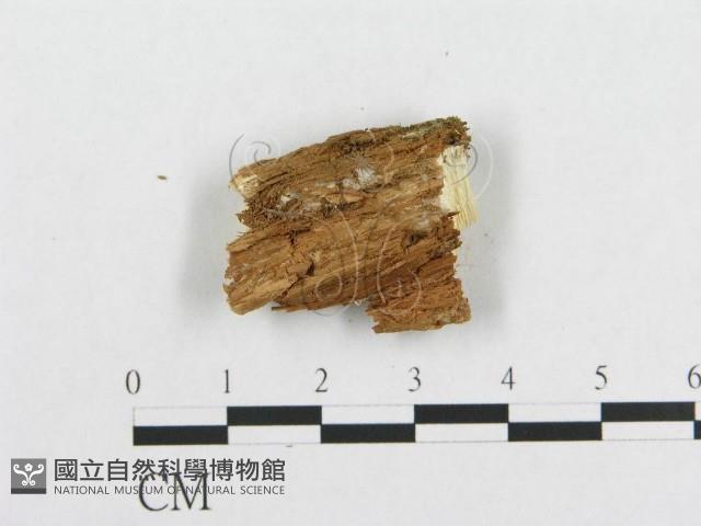 登錄號:F0005945藏品圖，第4張