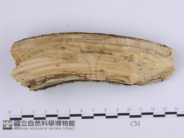 登錄號:F0001645藏品圖，第4張