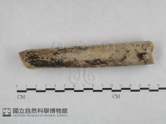 登錄號:F0025045藏品圖，第4張