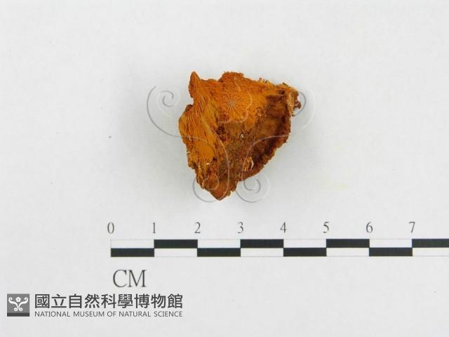 登錄號:F0005935藏品圖，第4張