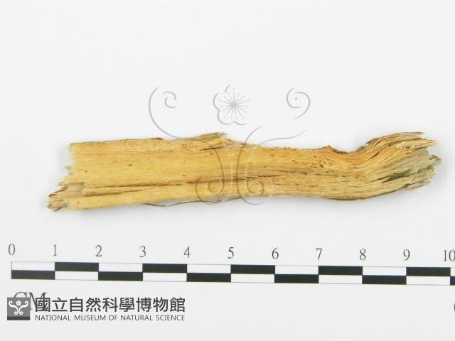 登錄號:F0015775藏品圖，第4張