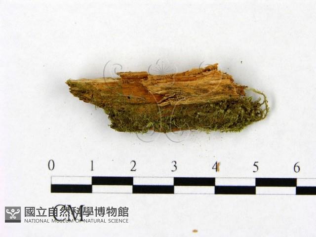 登錄號:F0015769藏品圖，第4張