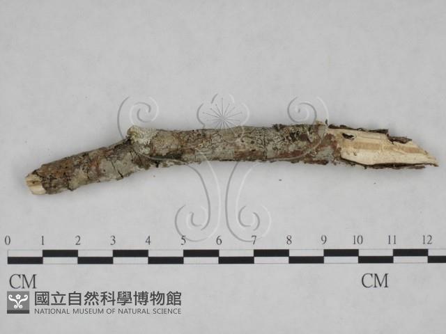 登錄號:F0025069藏品圖，第1張