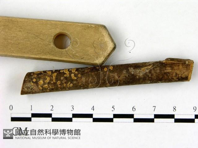 登錄號:F0009069藏品圖，第4張