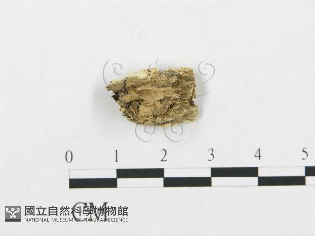 登錄號:F0019929藏品圖，第4張