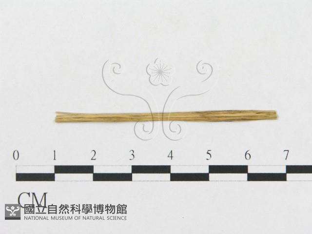 登錄號:F0011629藏品圖，第4張