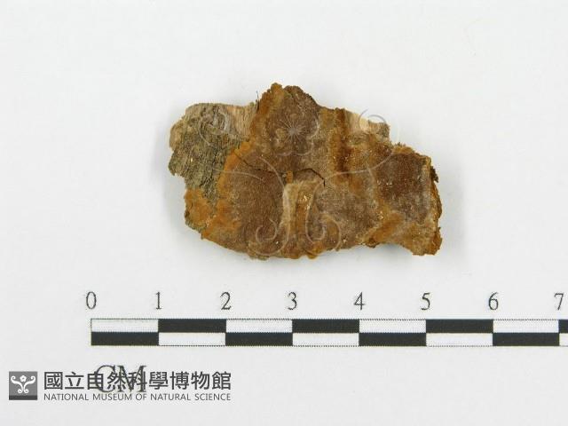 登錄號:F0004629藏品圖，第4張