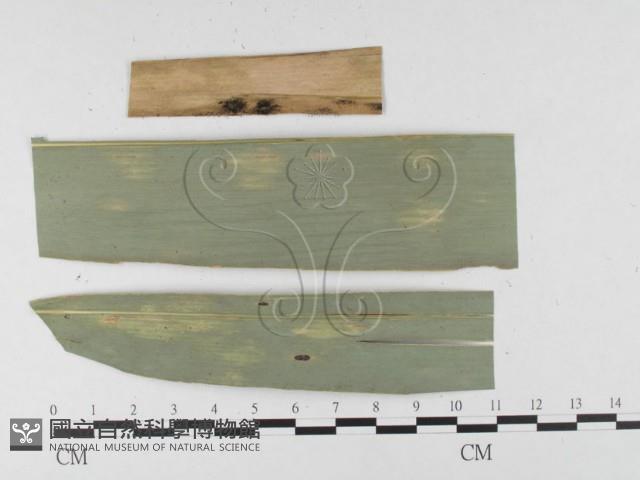 登錄號:F0026429藏品圖，第4張