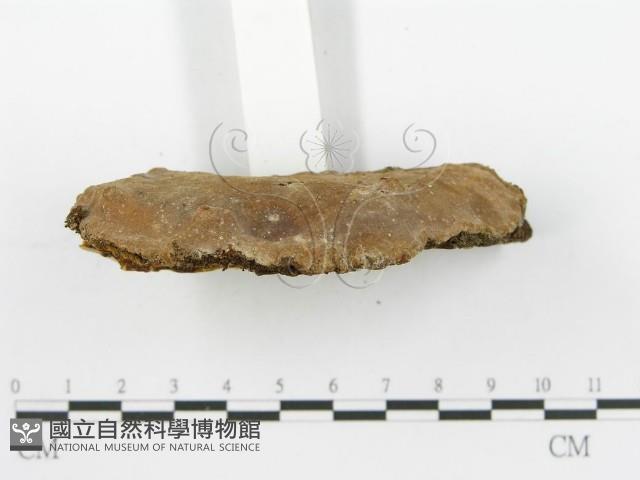 登錄號:F0016429藏品圖，第4張