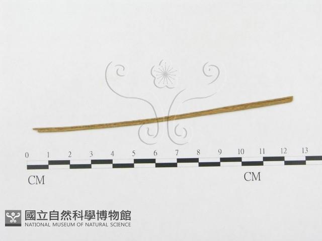 登錄號:F0019329藏品圖，第4張