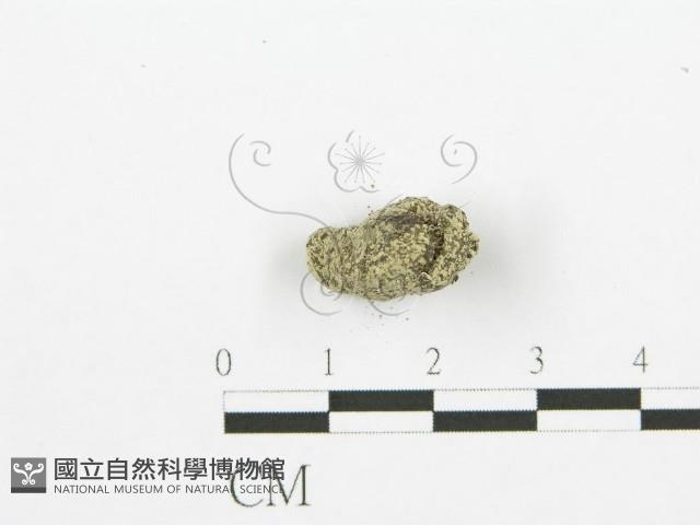 登錄號:F0000709藏品圖，第4張
