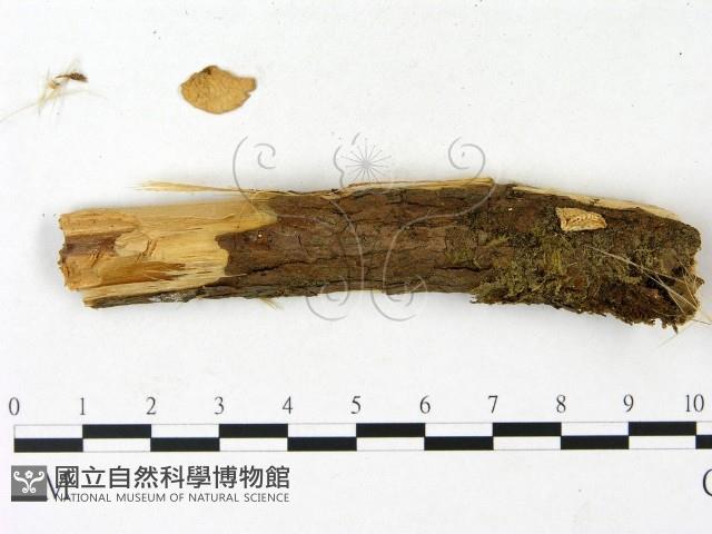 登錄號:F0023109藏品圖，第4張