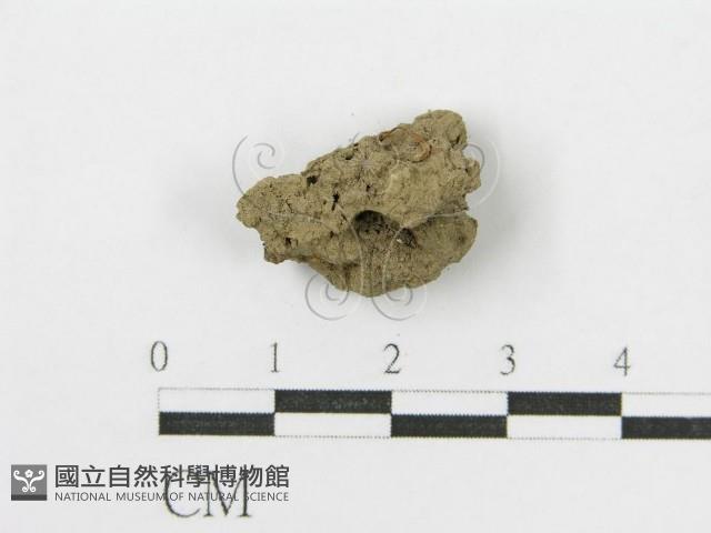 登錄號:F0012619藏品圖，第4張