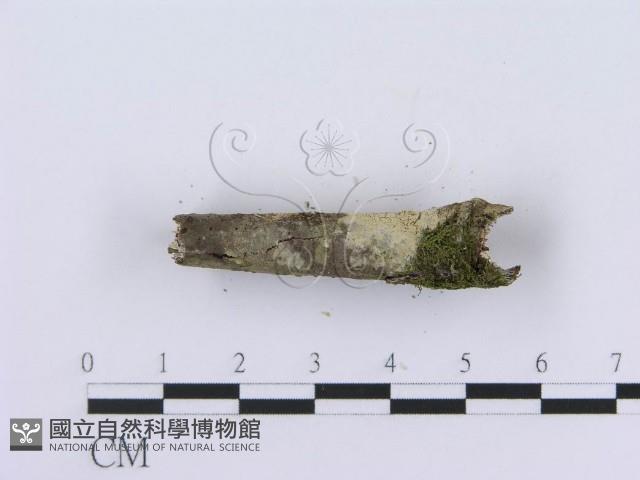 登錄號:F0001419藏品圖，第4張