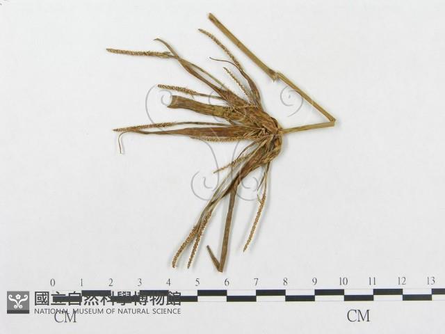 登錄號:F0018959藏品圖，第4張