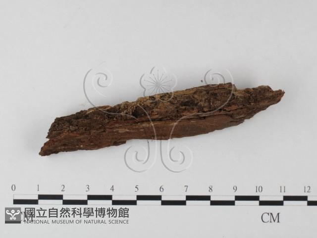 登錄號:F0000959藏品圖，第4張