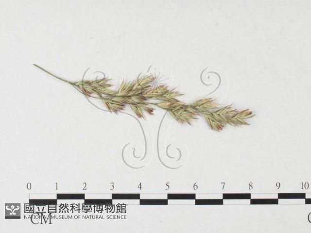 登錄號:F0026459藏品圖，第4張