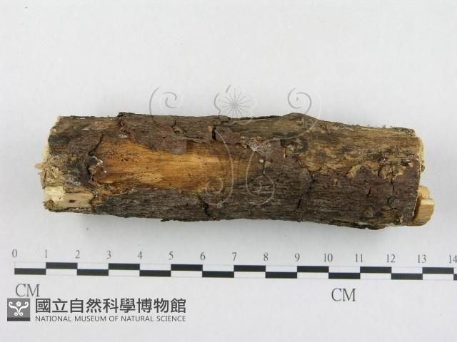 登錄號:F0018759藏品圖，第4張