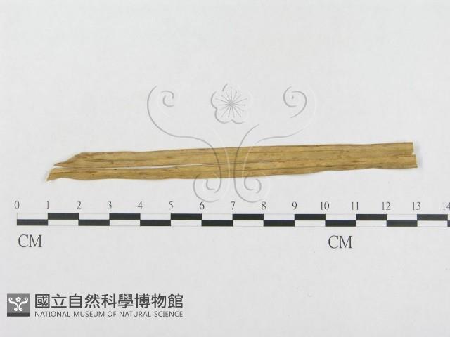 登錄號:F0011559藏品圖，第4張