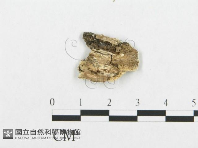 登錄號:F0017249藏品圖，第4張