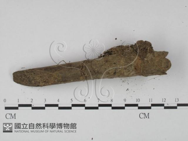 登錄號:F0008949藏品圖，第4張