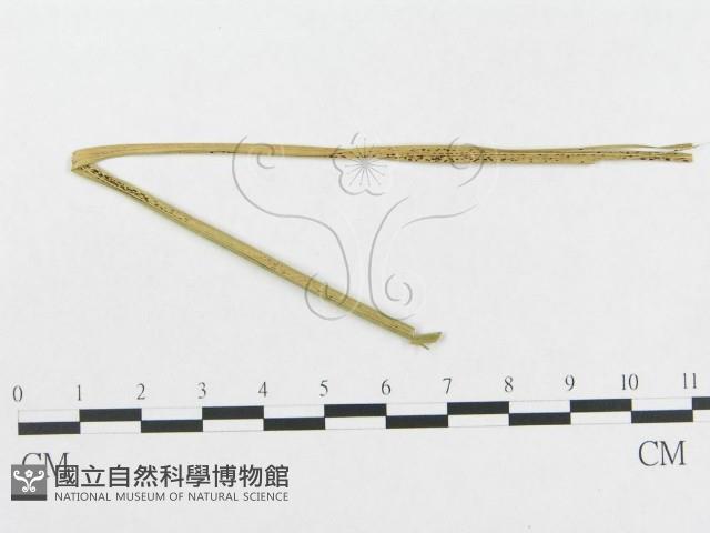 登錄號:F0018949藏品圖，第4張