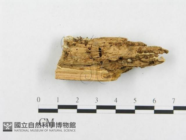 登錄號:F0005949藏品圖，第4張