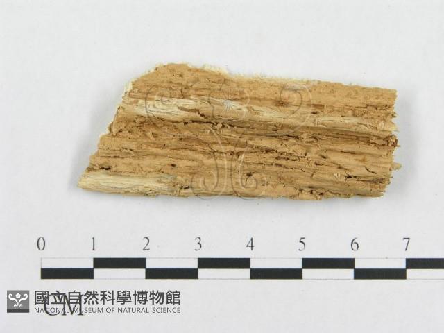 登錄號:F0015749藏品圖，第4張