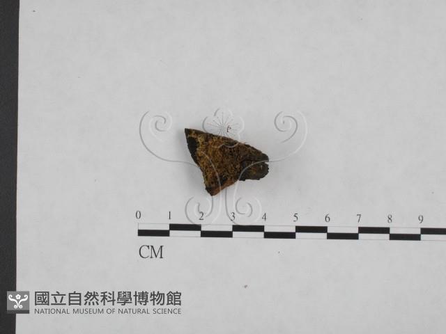 登錄號:F0006149藏品圖，第4張