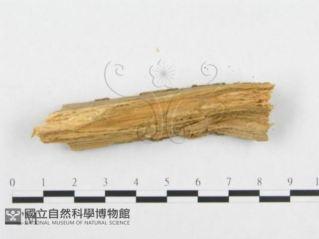 登錄號:F0005939藏品圖，第4張