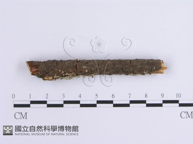 登錄號:F0001639藏品圖，第4張
