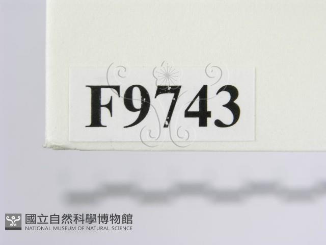 登錄號:F0009739藏品圖，第4張