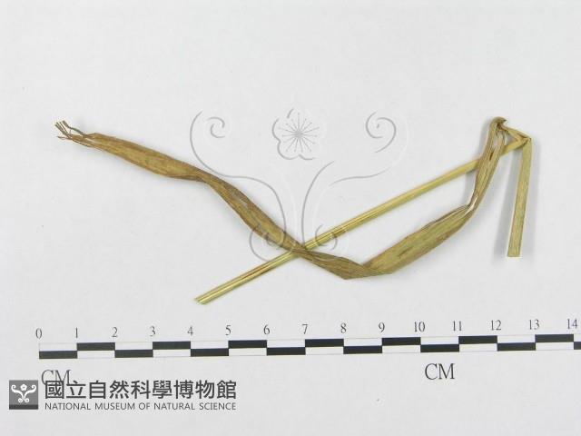登錄號:F0019339藏品圖，第4張