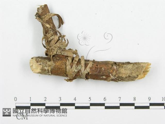 登錄號:F0001479藏品圖，第4張