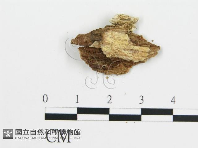 登錄號:F0016579藏品圖，第4張