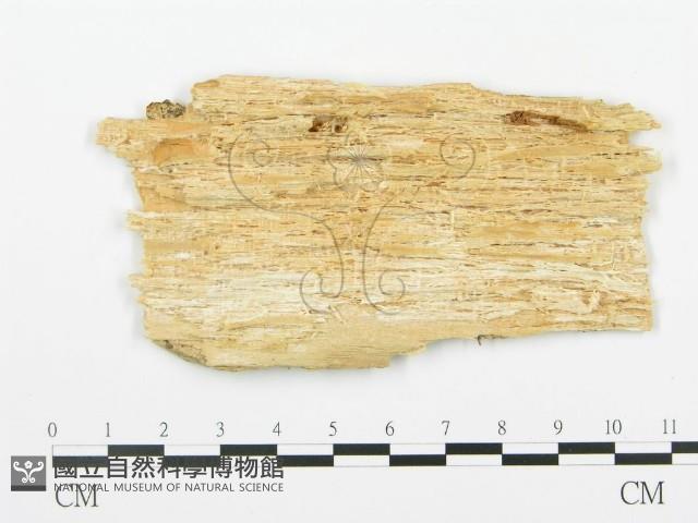 登錄號:F0017379藏品圖，第4張
