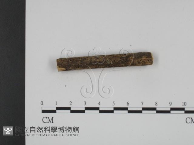 登錄號:F0009263藏品圖，第4張