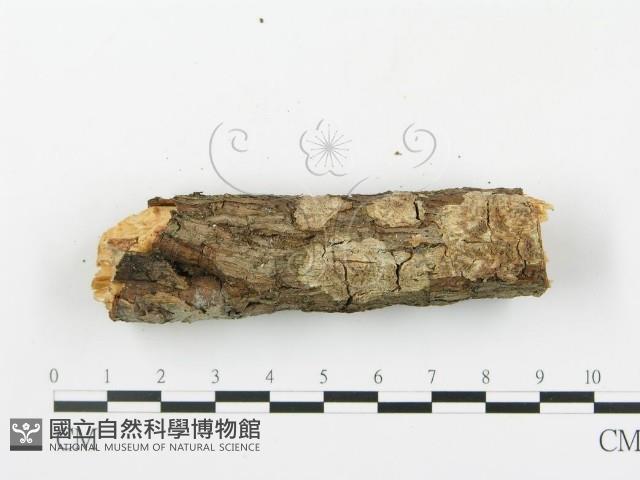 登錄號:F0014863藏品圖，第4張