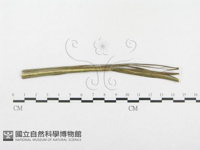 登錄號:F0018963藏品圖，第4張