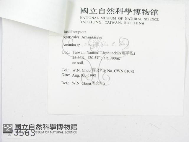 登錄號:F0003563藏品圖，第5張